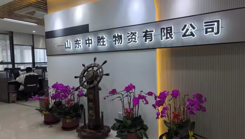 Porcellana Shandong Zhongsheng Materials Co., Ltd. Profilo Aziendale