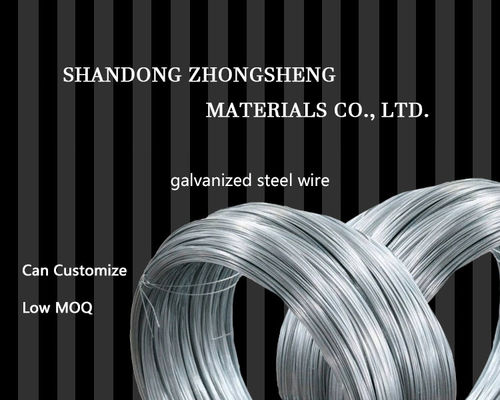 SAE1006 SAE1008 SAE1010 Cavo di carbonio Gi per la fabbricazione di chiodi Tolleranza del filo di ferro galvanizzato ± 1% Servizio di lavorazione Decoiling